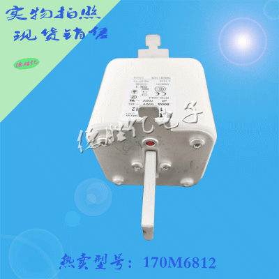 美国巴斯曼快速熔断器 170M6812 可询