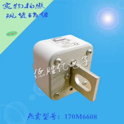 美国巴斯曼快速熔断器 170M6608从优