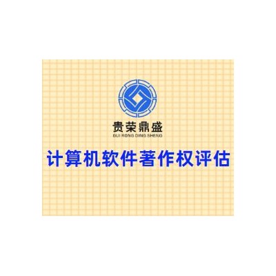 四川省成都市青白江区计算机软件著作权评估贵荣鼎盛评估