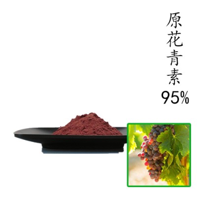 原花青素95% 葡萄籽提取物 量大优惠