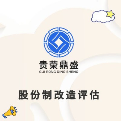 山东省菏泽市企业股权价值评估股东价值评估企业负债评估