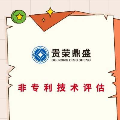 成都市天府新区网站商誉评估APP专利评估非专利技术评估