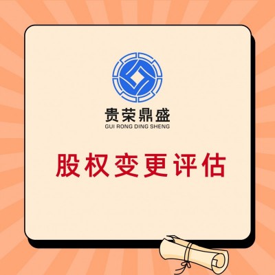 设立公司评估流程企业价值评估