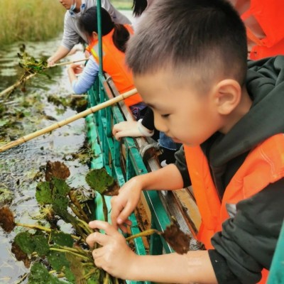 苏州三六六青少年研学旅行采菱亲子户外探索活动体验课报名中