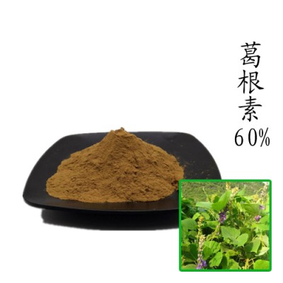 葛根素60% 葛根提取物